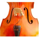 Pastilla KNA DB-1 piezoeléctrico para contrabajo - Imagen 5